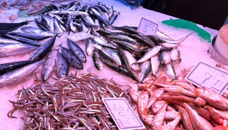 Ruf nach starker Unterstützung für die Fischerei/ Balıkçılık ve Tarım İçin Güçlü Destek Çağrısı
