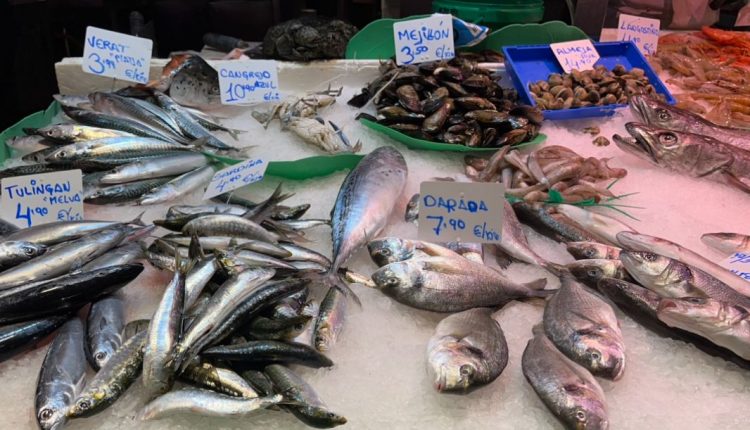 Ostsee-Fischerei: EU-Vorschlag für Fangquoten 2026/“AB’den 2026 Baltık Av Kotası Önerisi”