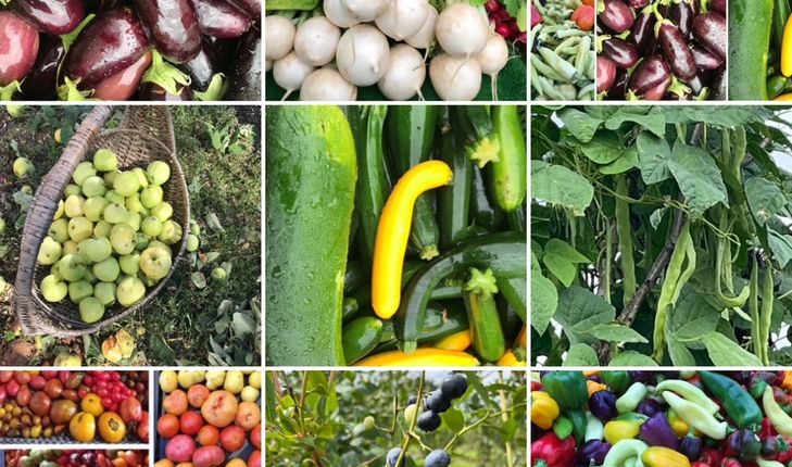 Pflanzliche Produkte günstiger, tierische teurer/ Bitkisel Ürünler Ucuzladı, Hayvansal Ürünler Zamlandı