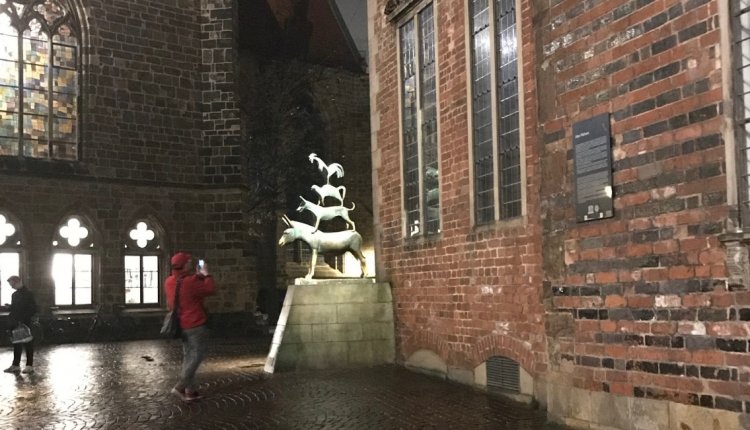 Bremen’de Okul Sinema Haftası 20. Yılını Kutluyor