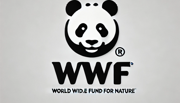 WWF: İklim Korumasını Bürokrasi Olarak Görmek, Almanya’nın Refahını Riske Atar