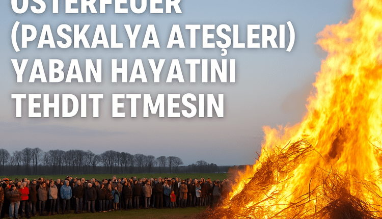 Osterfeuer (Paskalya Ateşleri) Yaban Hayatını Tehdit Etmesin