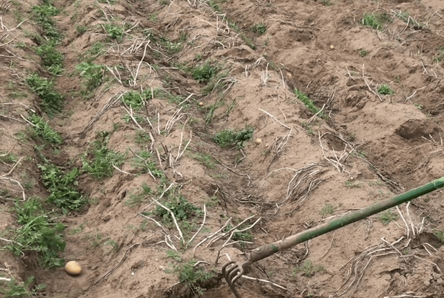 Avrupa Birliği Toprak Sağlığına Sahip Çıkıyor!