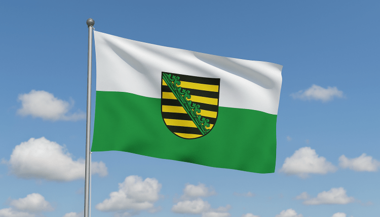 Start der Förderanträge für „Weltoffenes Sachsen 2026“- Saksonya’da “Weltoffenes Sachsen” 2026 Programı Başvuruları Başladı