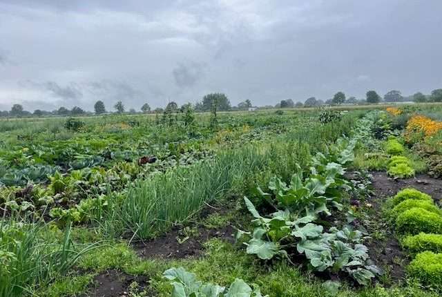 Woidke und Rainer: Starke Landwirtschaft, lebendige Regionen/ Tarım Güçlenirse Kırsal Canlanır