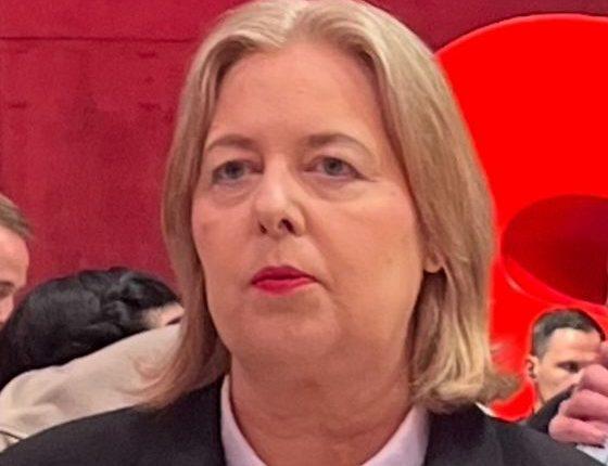 Betriebsrente für alle – zweite Reform kommt/            İkinci İşveren Emekliliği Güçlendirme Yasası Yolda