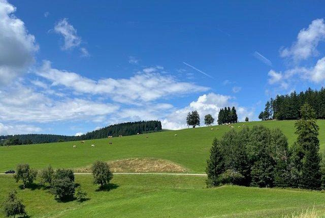 Flächenverbrauch steigt auf 51 Hektar pro Tag in Deutschland/ Her Gün 51 Hektar Alan Yapılaşıyor