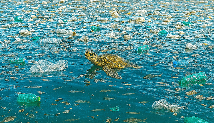 Globales Plastikabkommen ohne Ergebnis/                Küresel Plastik Görüşmeleri Sonuçsuz
