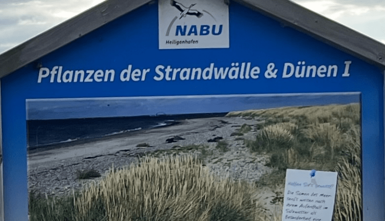 Naturschutz stärkt die Demokratie/ “Doğayı Korumak Demokrasiye Katkıdır”