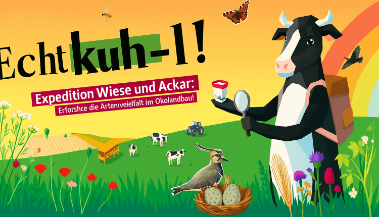 Schulwettbewerb „Echt kuh-l!“ startet in neue Runde/ Almanya’da Öğrenciler İçin “Echt kuh-l!” Yarışması