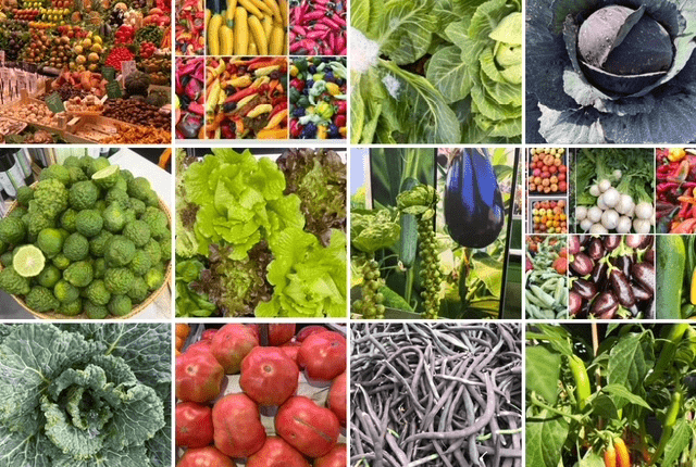 OECD fordert Reform der Agrarpolitik / OECD’den tarım politikası reformu çağrısı