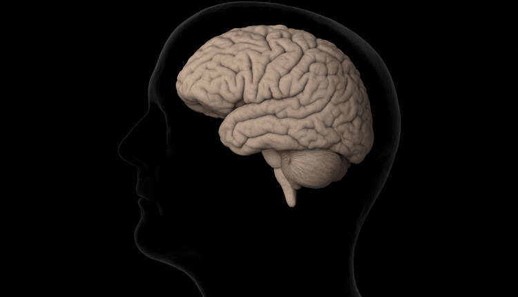 Neues Schädelbasiszentrum in Heidelberg eröffnet/ Heidelberg’de Yeni Kafatası Merkezi Açıldı