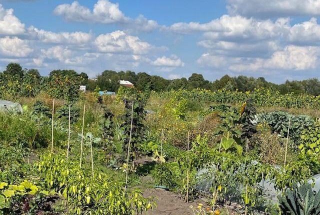 Weniger Bürokratie für Landwirte/Çiftçiler İçin Daha Az Bürokrasi