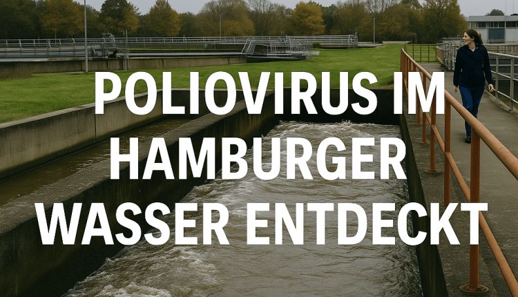 Poliovirus im Hamburger Abwasser entdeckt/“Hamburg’da Atık Suda Polio Virüsü Tespit Edildi”