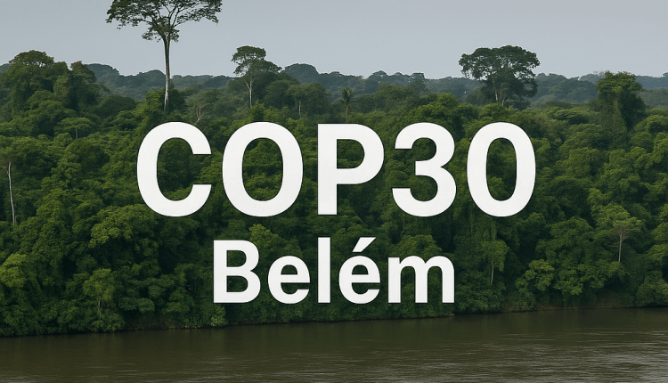 COP30 bringt nur begrenzte Fortschritte/COP30’dan Sınırlı İlerleme