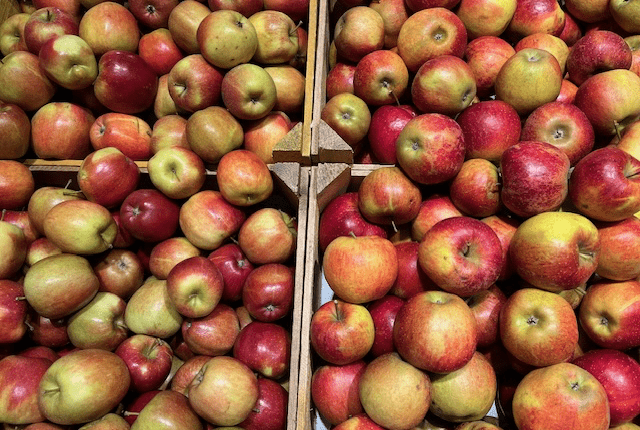 Rekordnahe Apfelernte 2025 Elma Hasadında Rekora Yakın Seviye