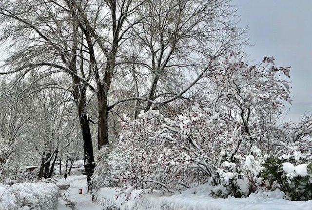 Hamburg erlaubt Tausalz wegen Glätte bis 21. Januar/Buzlanmaya karşı tuz yasağı 21 Ocak’a kadar kalktı