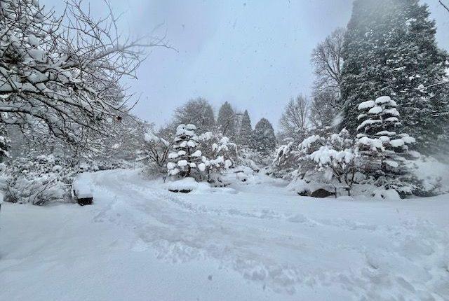 Sturmtief „Elli“ bringt Winterchaos nach Deutschland/Fırtına “Elli” Almanya’da Hayatı Olumsuz Etkiliyor