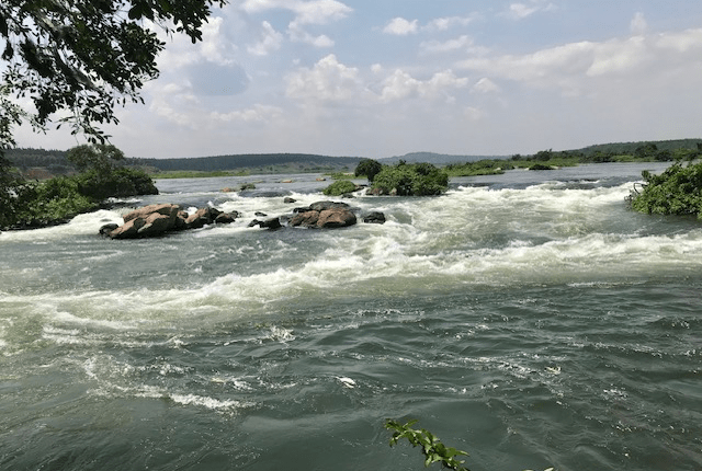 „Die Wasserkrise in Deutschland verschärft sich“/ „Almanya’da su krizi derinleşiyor“