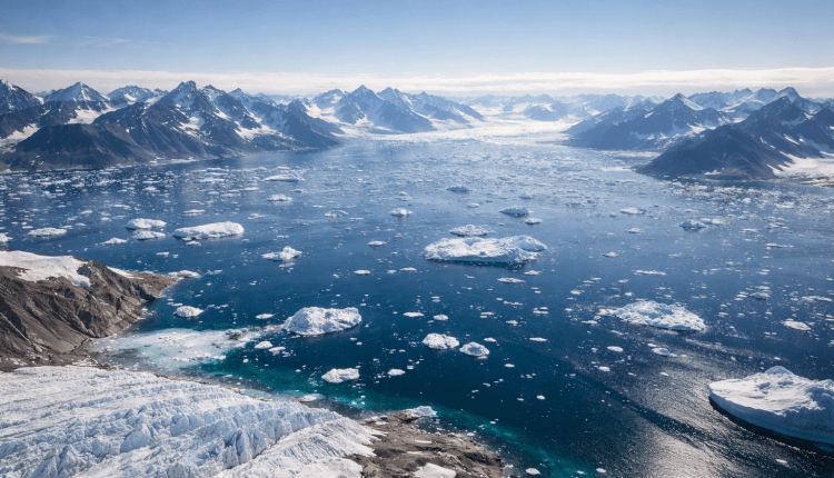 Alliierte bekennen sich zur Sicherheit der Arktis/          Arktik güvenliği için ortak duruş