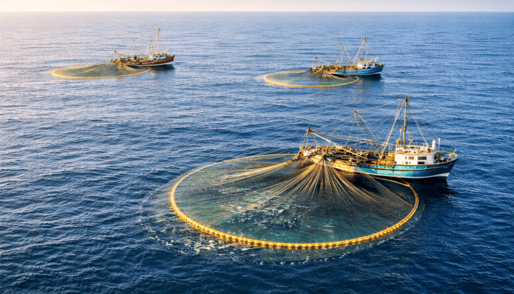 Notlösung für Fischwirtschaft/Balıkçılıkta acil çözüm