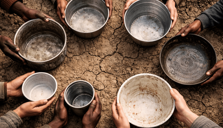 Rund Zwölf Prozent der Weltbevölkerung leiden Hunger/Dünya nüfusunun yüzde 12’si açlık çekiyor