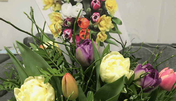 Zahl der Eheschließungen in Deutschland auf Rekordtief/Almanya’da evliliklerde rekor düşüş