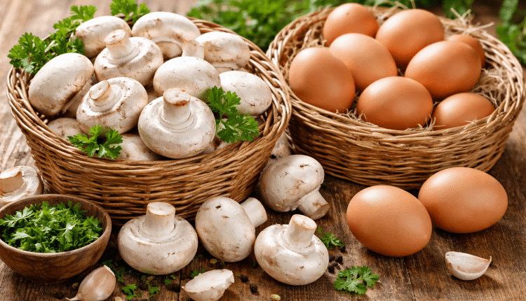 Champignon- und Eierproduktion steigt/Almanya’da kültür mantarı ve yumurta üretimi arttı