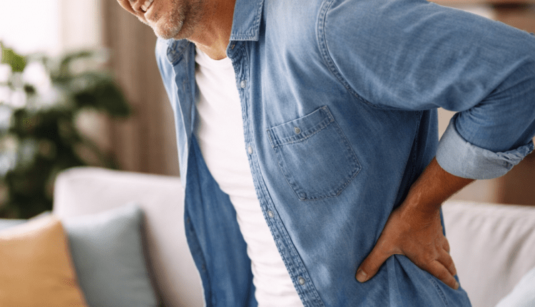 Rückenschmerzen lassen sich vorbeugen/Bel-Sırt ağrısını önlemek mümkün