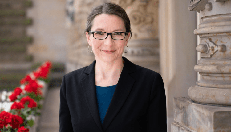 Bekeris: Schulstart in Hamburg gesichert/Hamburg yeni eğitim yılına hazır