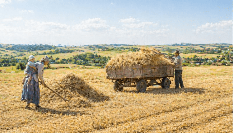 Immer mehr Paare arbeiten beide/Almanya’da tek gelir dönemi sona eriyor