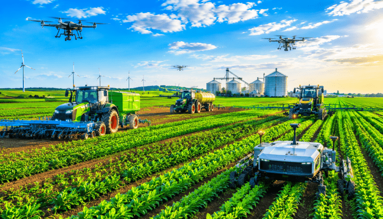 72 Millionen für moderne Landwirtschaft/Tarımda yeni teknolojiye 72 milyon euro
