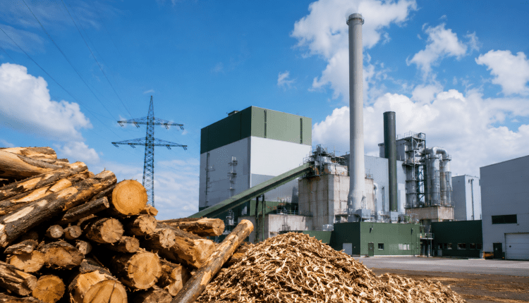 Holzbiomasse-Regelung beschlossen/Odun biyokütlesinden elektrik üretimi kabul edildi