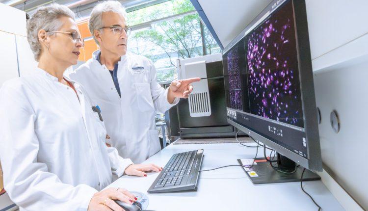 Eiweißbausteine als Schutz gegen Organschäden?/Protein yapı taşları organ hasarına karşı koruyabilir mi?