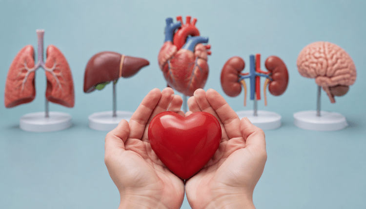 Soll jeder ohne Widerspruch als Organspender gelten?/İtiraz etmeyen organ bağışçısı sayılmalı mı?