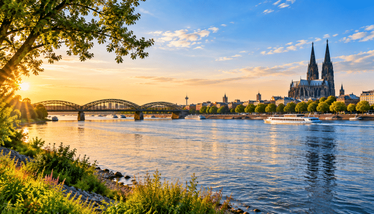 Microsoft und NABU schützen den Rhein/Microsoft ve NABU Ren Nehri’ni koruyacak